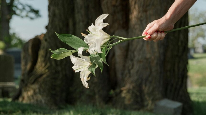 A hand holds a white lily above a grave, the cemetery out of focus in the background..