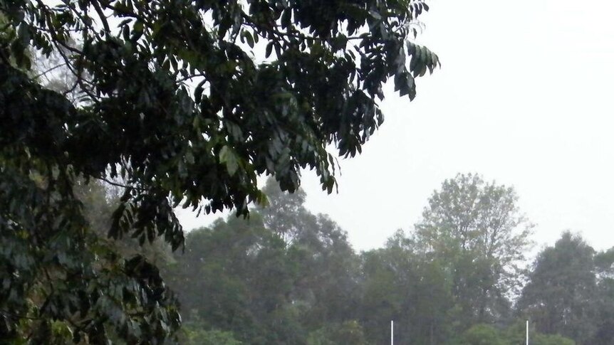 A playing field goes under in Ashgrove in Brisbane's inner-west.