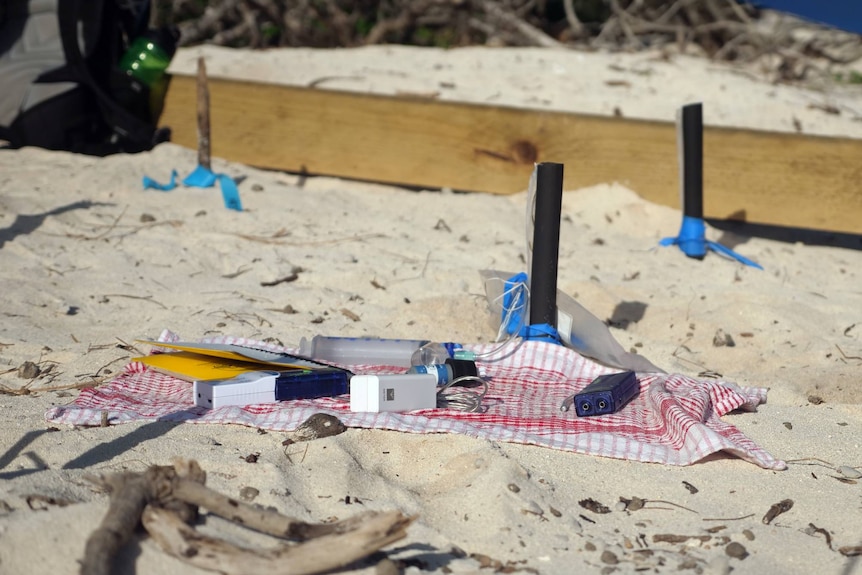 A large, rectangular wooden frame on a beach with lots of science equipment