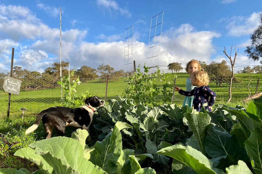 two girls play in a vegetable garden
