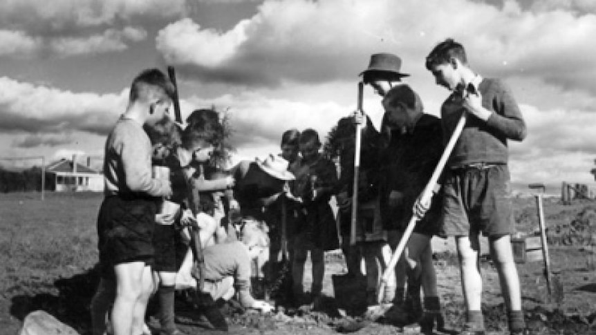 Nearly 1,000 British children went through Fairbridge Farm School in Molong in its 50 year history.
