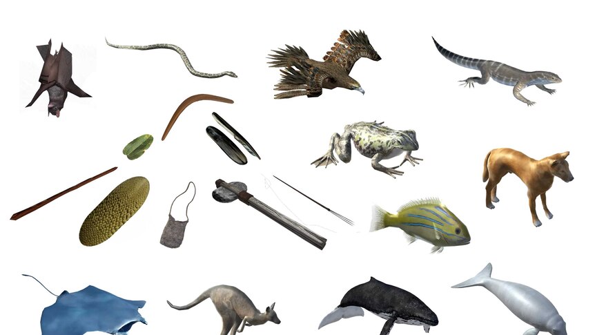 A series of 3D rendered objects including animals and tools on a white background.