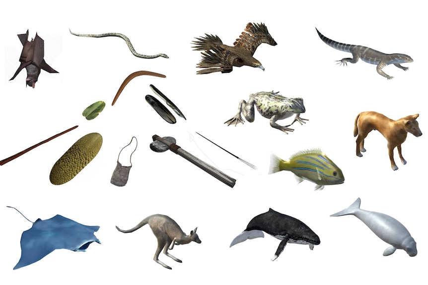 A series of 3D rendered objects including animals and tools on a white background.