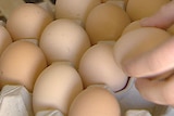 Egg producers say scrapping the rule is a return to common sense.