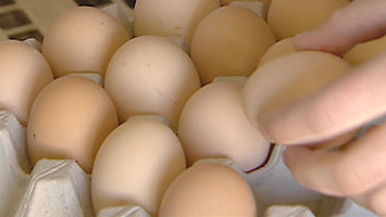 Crackdown on egg labelling