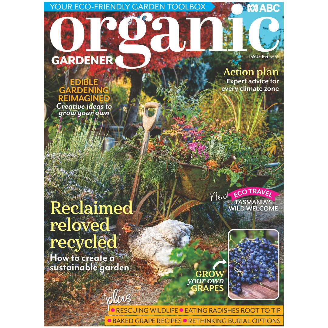ABC Magazine Subscriptions - ABC Shop