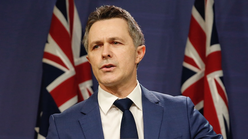 Jason Clare speaks at a lecturn in front of Australian flags