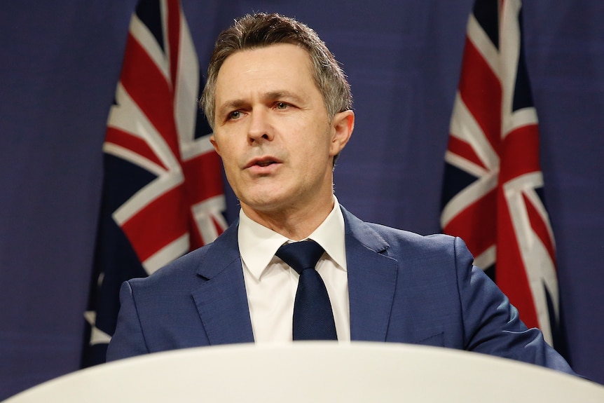 Jason Clare speaks at a lecturn in front of Australian flags