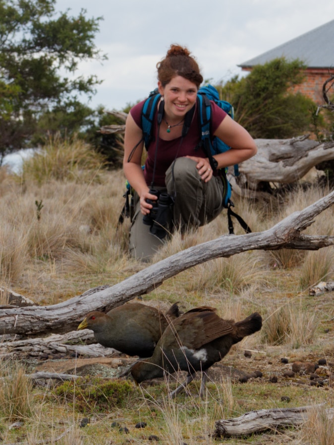 A woman with a backpack crouching down in front of some Tasmanian native hens.