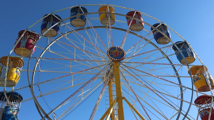 A ferris wheel set against a sunny sky