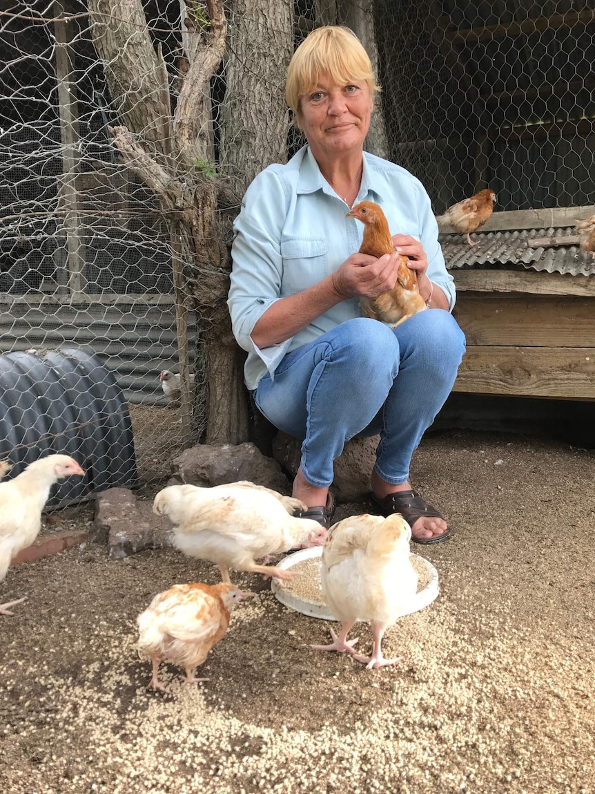 Michelle Rogers looks at the camera, holding a brown chicken, while surrounded by white chickens eating grain in a pen.