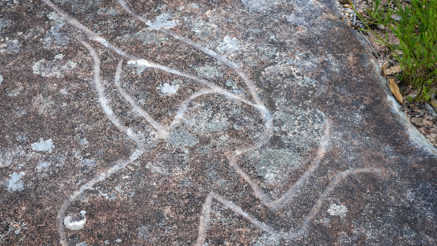An Aboriginal rock carving.