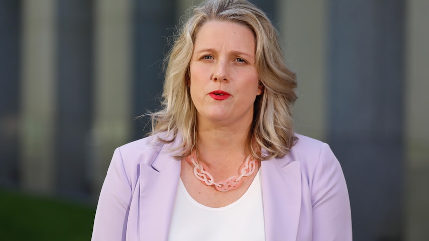 Clare O'Neil wearing a speaks while looking at the camera with a neutral expression. She wears a lilac blazer. 