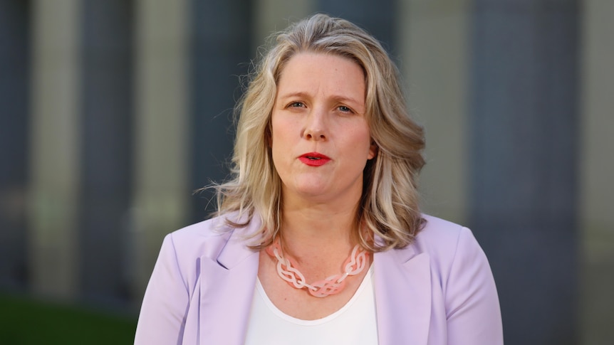 Minister Clare O'Neil wearing a light purple blazer and pink necklace