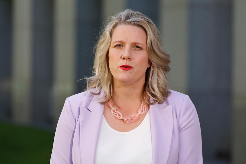 Clare O'Neil wearing a speaks while looking at the camera with a neutral expression. She wears a lilac blazer. 