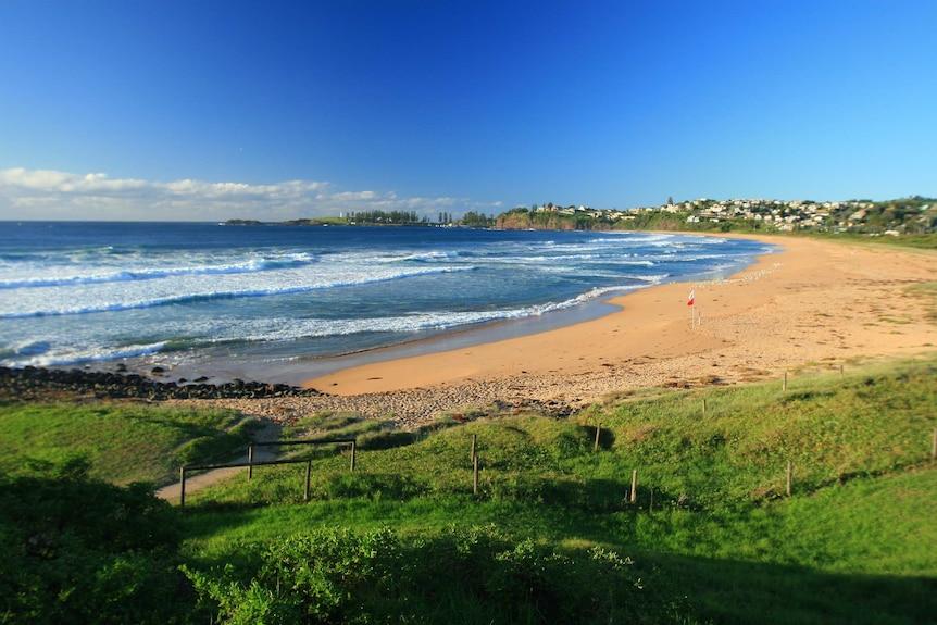 Red and white flags on Bombo Beach on a sunny day.