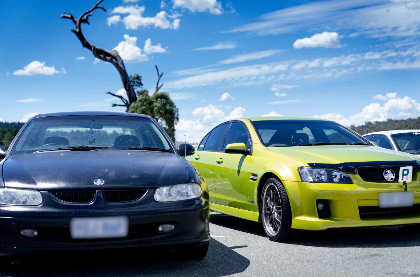 Seized Holden Commodores