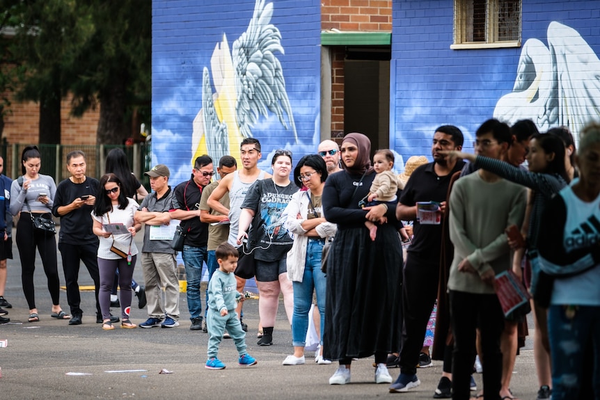 people wait in line at a polling booth