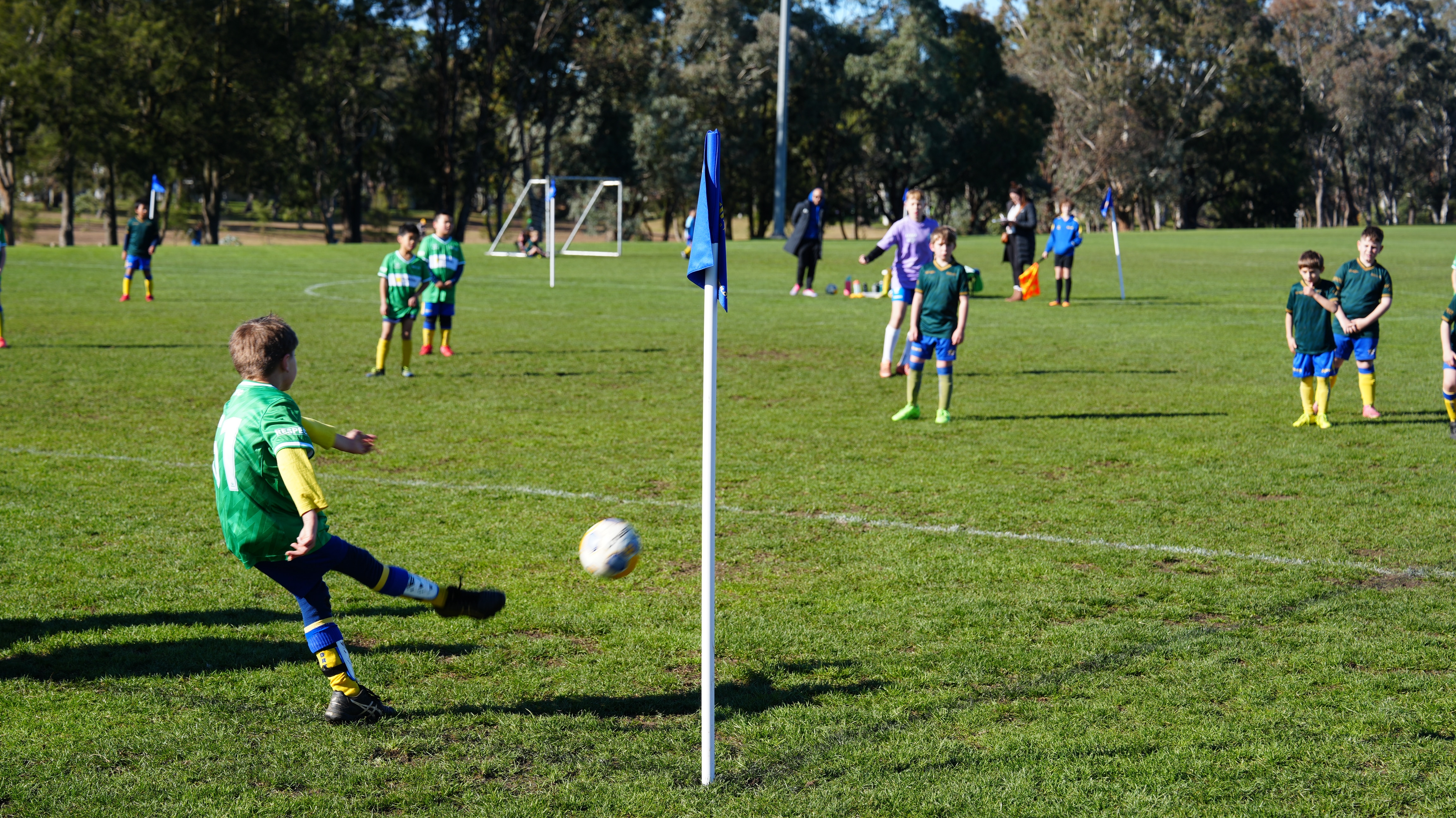 A group of young boys play soccer on a sunny green field.