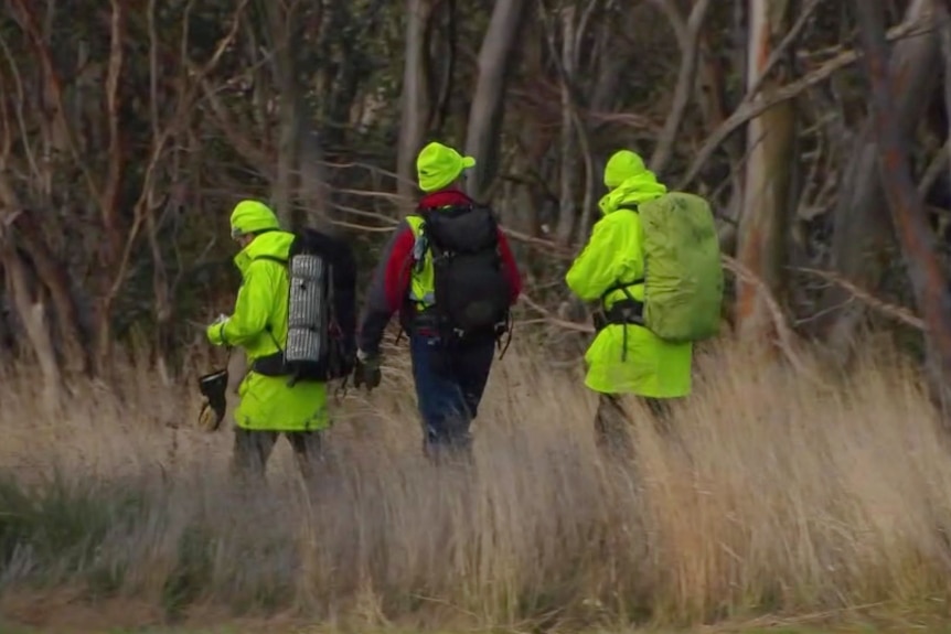 Three people in high-vis, wearing hiking packs, walk through the bush.