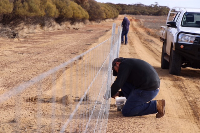 A man kneels down in the dirt fixing a wire fence with a car and another man in the distance.