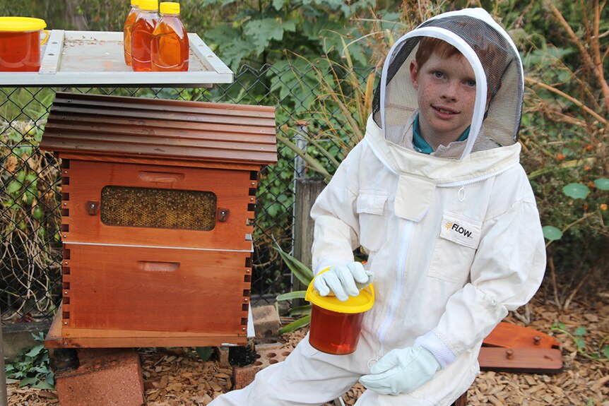 Gold Coast 10yo beekeeper Finn Tolhurst and his backyard Flow Hive