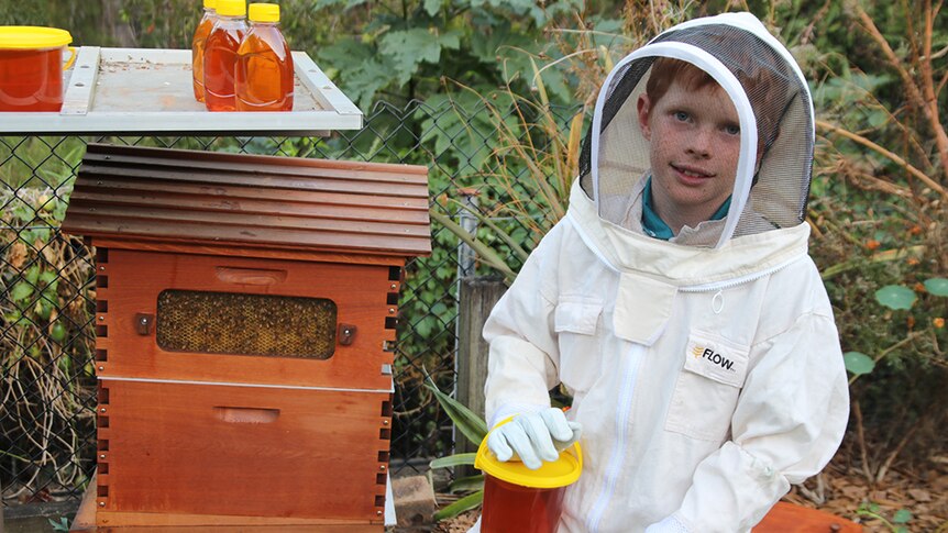 Gold Coast 10yo beekeeper Finn Tolhurst and his backyard Flow Hive
