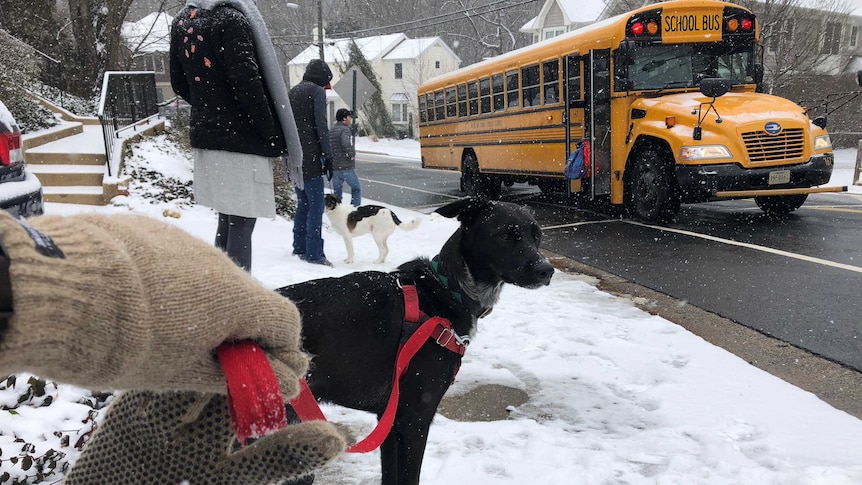 People wait in the snow for a school bus in Arlington, Virginia.