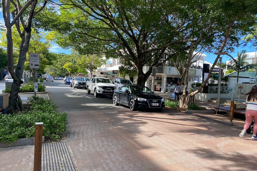 Cars along tree-lined street