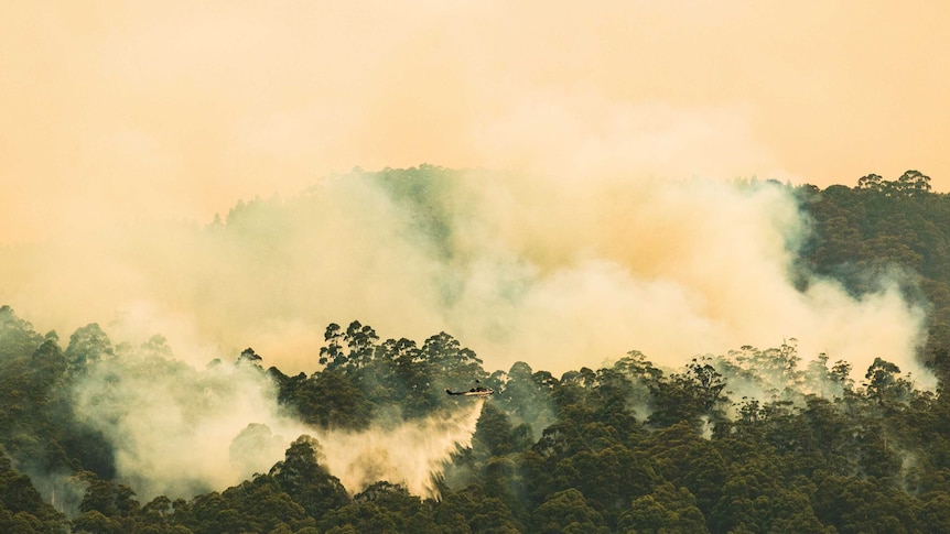 A helicopter water bombing fires south of Hobart at Glen Huon.