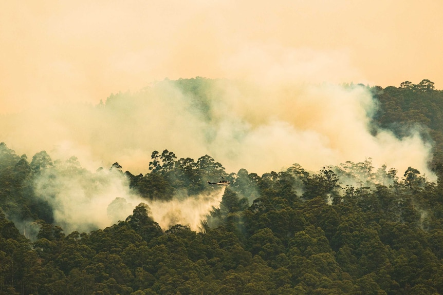 A helicopter water bombing fires south of Hobart at Glen Huon.