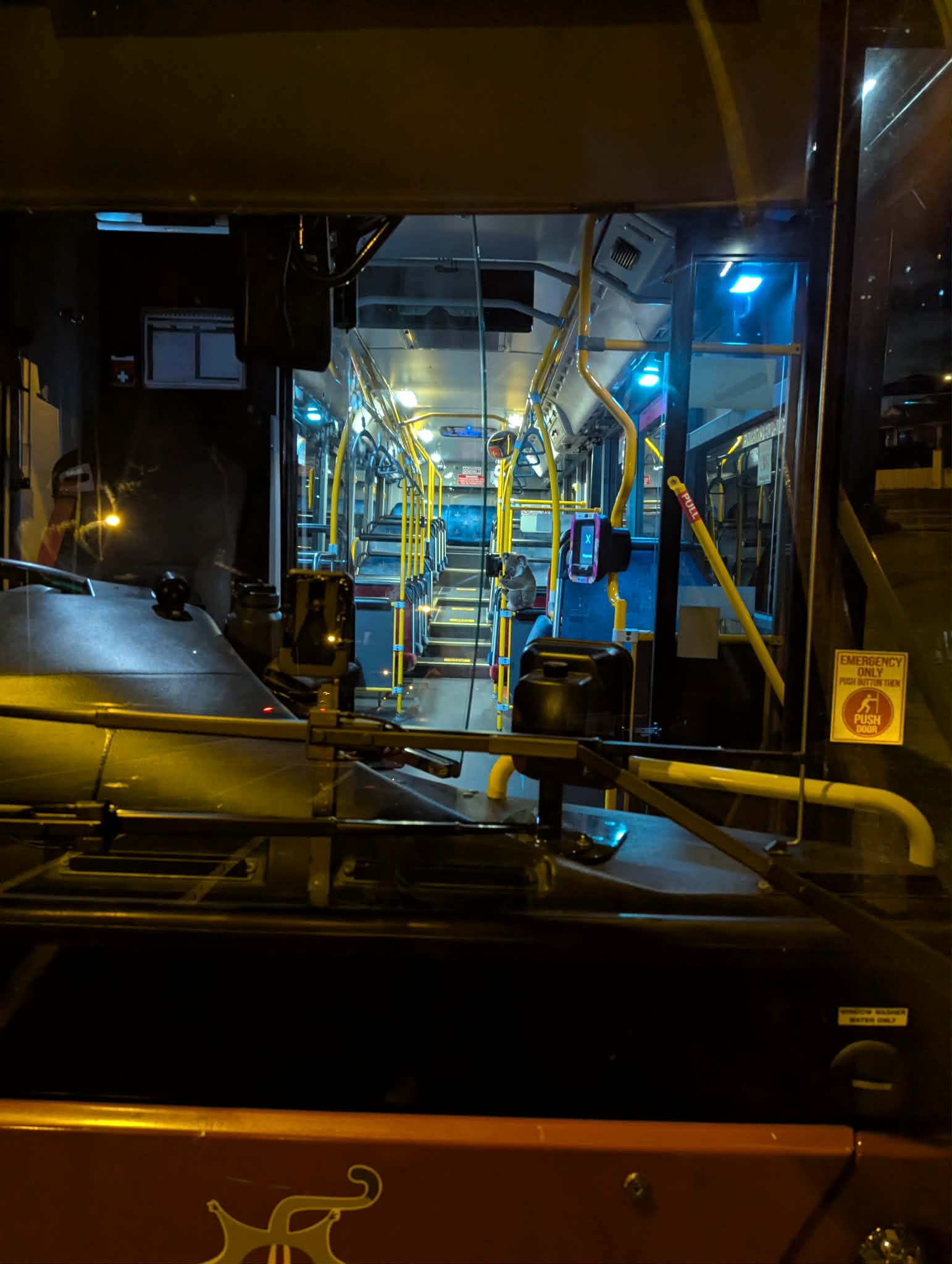 Olhando para o corredor de um ônibus urbano e vendo um coala agarrado ao corrimão à distância