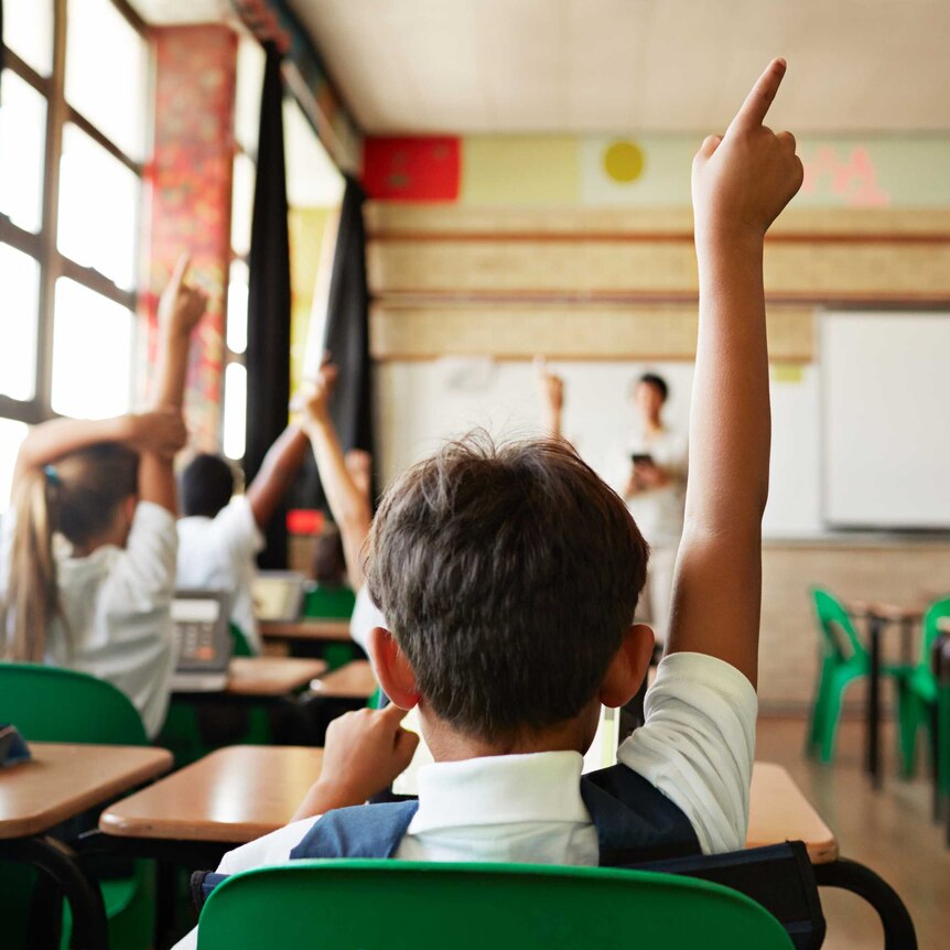 In a classroom, children sit with one arm in the air as if to answer a question, with a just-visible teacher in the background.