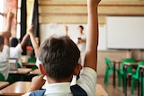 In a classroom, children sit with one arm in the air as if to answer a question, with a just-visible teacher in the background.