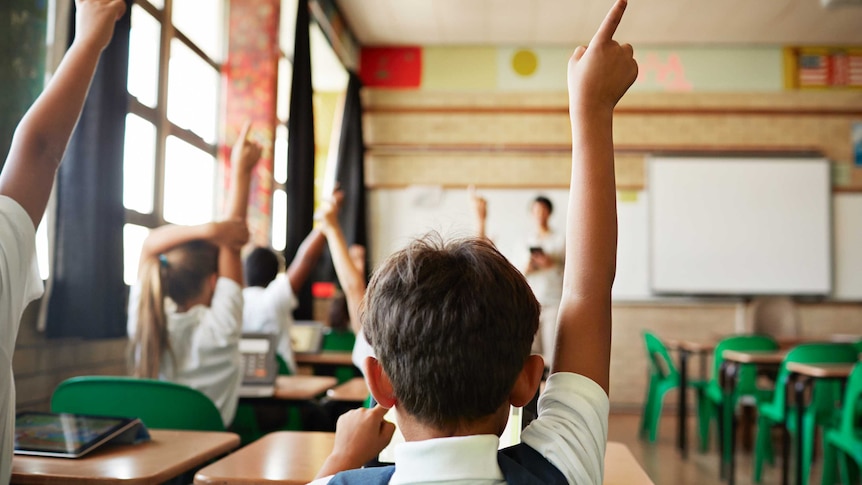 In a classroom, children sit with one arm in the air as if to answer a question, with a just-visible teacher in the background.