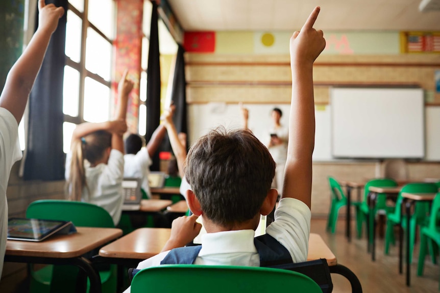 In a classroom, children sit with one arm in the air as if to answer a question, with a just-visible teacher in the background.