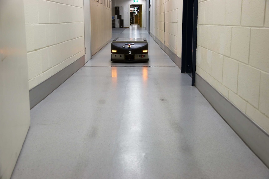 A robot roams a hallway at the National Library of Australia.