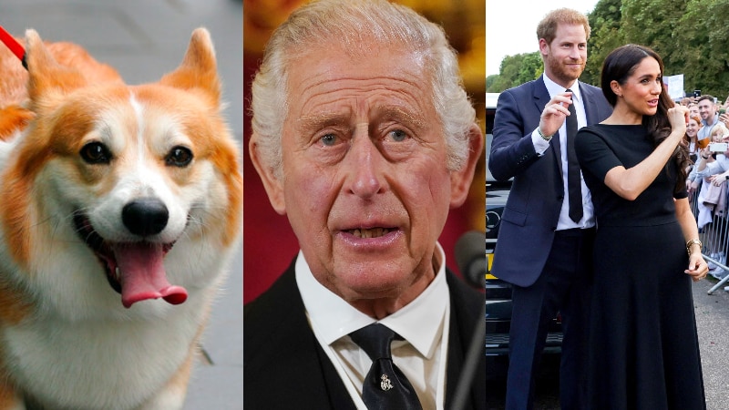 A composite image of a corgi, King Charles III and the Duke and Duchess of Sussex