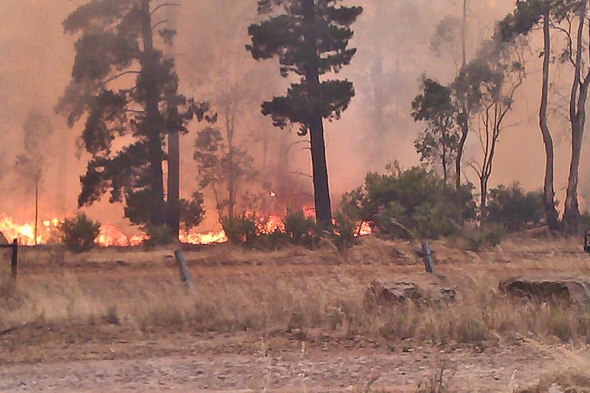 Bushfire emergency