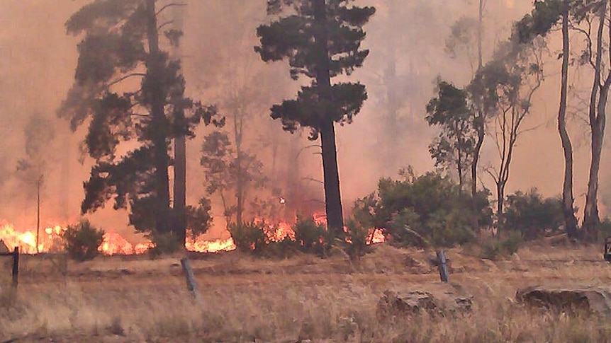 Bushfire emergency in SA mid-north