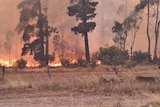 Bushfire emergency