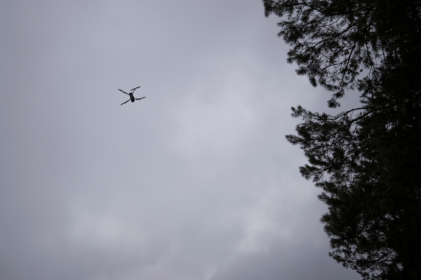A drone in the sky next to forest.