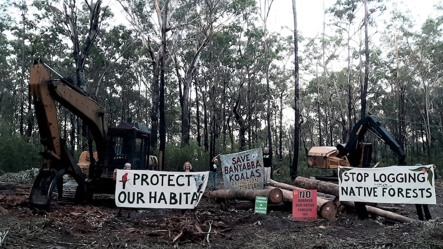 People with signs in forest protest