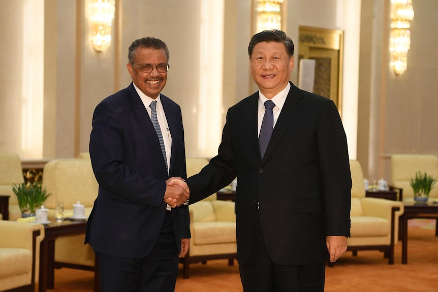 Tedros Adhanom Ghebreyesus and Xi Jinping smile and shake hands for the cameras in a room with chandeliers