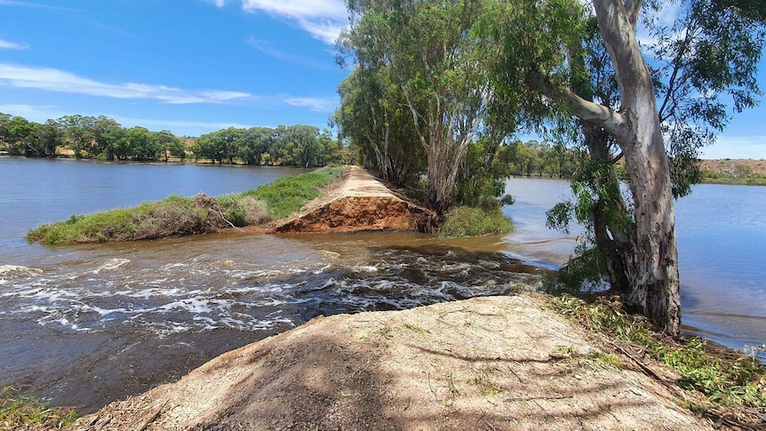 Water rushes through a gaping hole in a levee