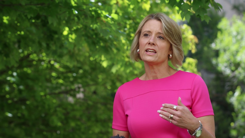 Kristina Keneally talks at a press conference in a garden