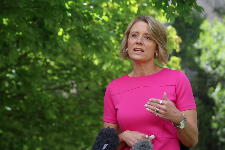 Kristina Keneally talks at a press conference in a garden