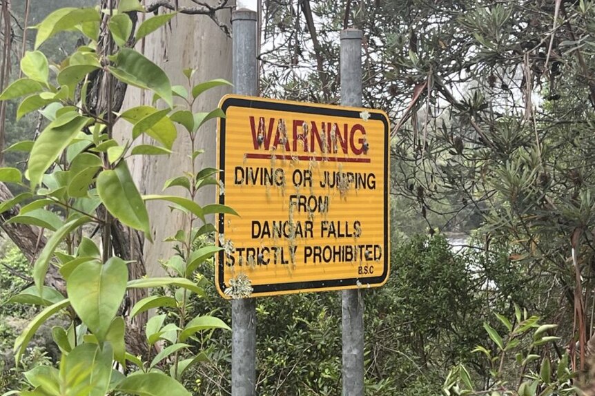 A sign saying jumping and diving is prohibited.