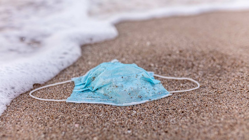 A discarded facemask washed up on the beach.