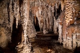 Underground cave system.